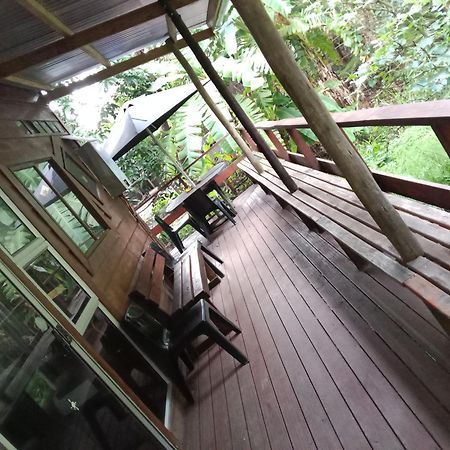 Yellowwood Forest Eco Retreat 모건스 베이 외부 사진
