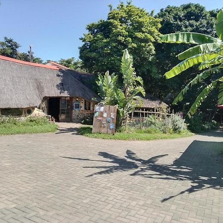 Yellowwood Forest Eco Retreat 모건스 베이 외부 사진