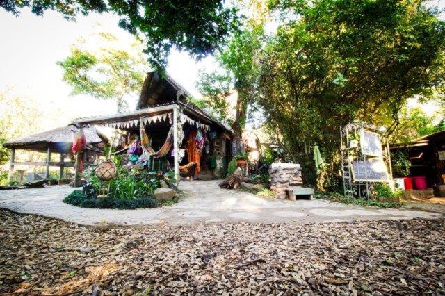 Yellowwood Forest Eco Retreat 모건스 베이 외부 사진