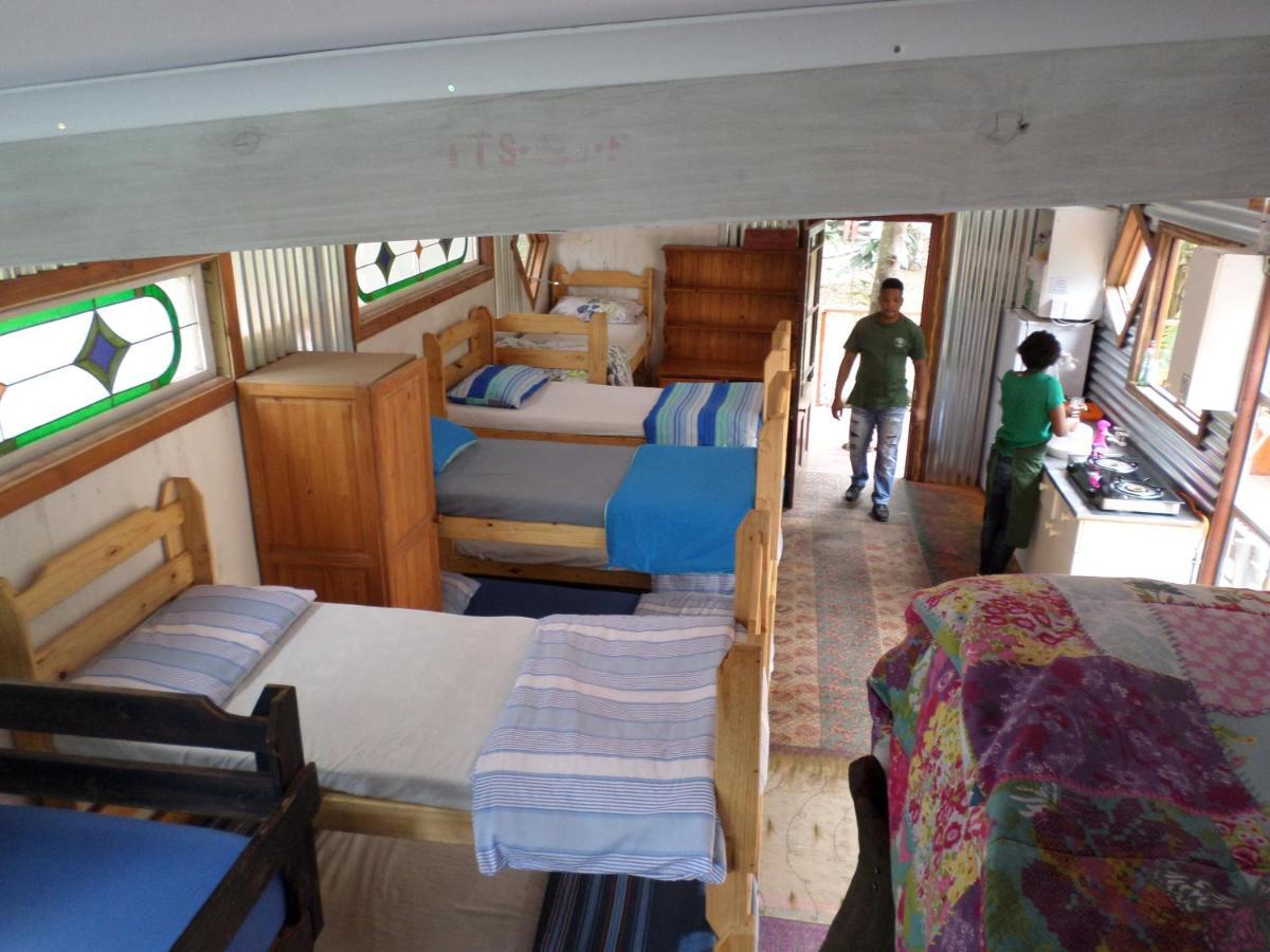 Yellowwood Forest Eco Retreat 모건스 베이 외부 사진