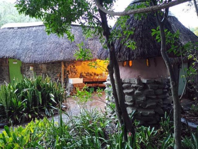 Yellowwood Forest Eco Retreat 모건스 베이 외부 사진