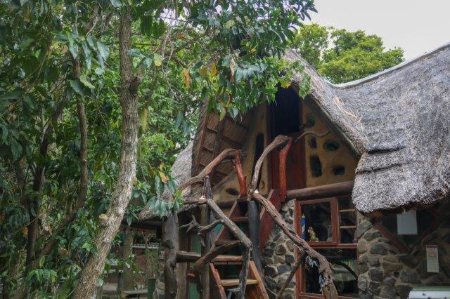 Yellowwood Forest Eco Retreat 모건스 베이 외부 사진